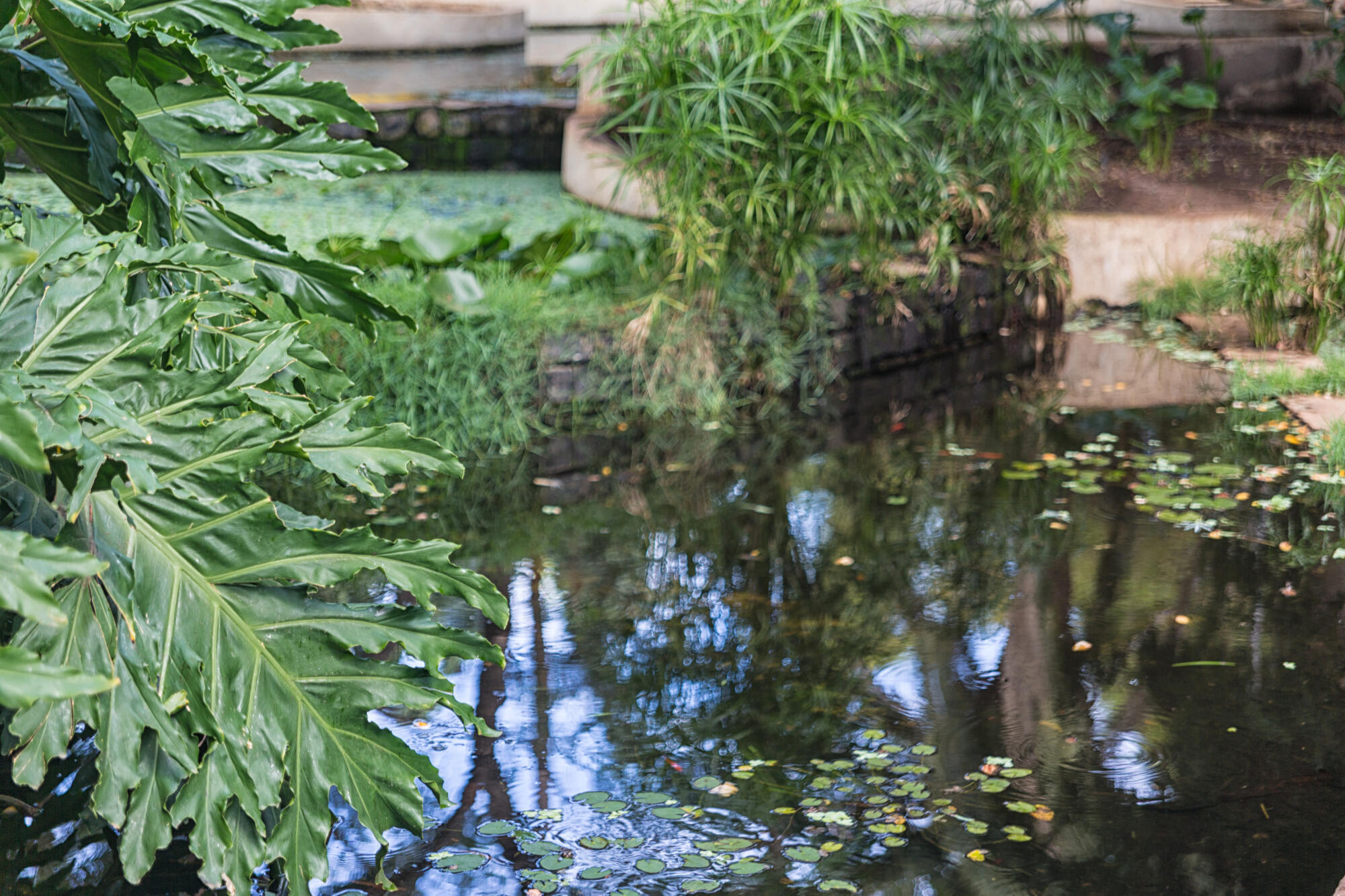 Heathcote Botanical Gardens: A Senior-Friendly Guide to Visiting